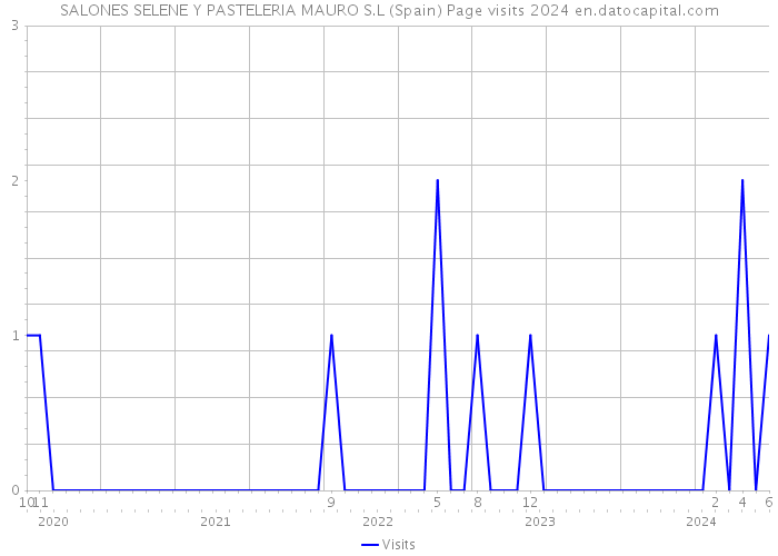 SALONES SELENE Y PASTELERIA MAURO S.L (Spain) Page visits 2024 