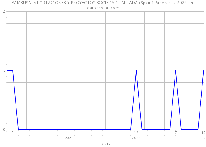 BAMBUSA IMPORTACIONES Y PROYECTOS SOCIEDAD LIMITADA (Spain) Page visits 2024 