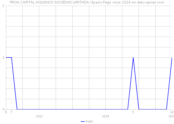 PROA CAPITAL HOLDINGS SOCIEDAD LIMITADA (Spain) Page visits 2024 