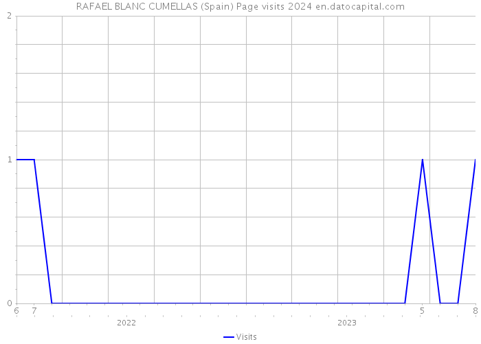 RAFAEL BLANC CUMELLAS (Spain) Page visits 2024 