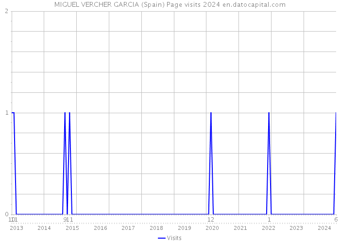 MIGUEL VERCHER GARCIA (Spain) Page visits 2024 