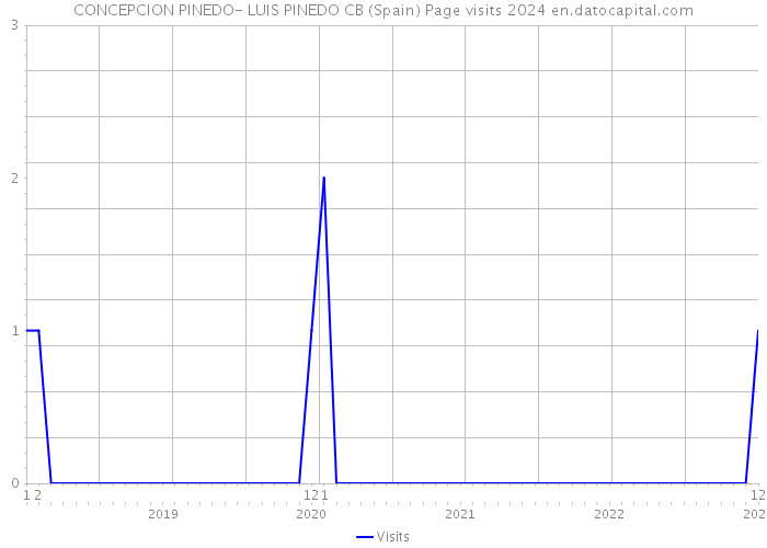 CONCEPCION PINEDO- LUIS PINEDO CB (Spain) Page visits 2024 