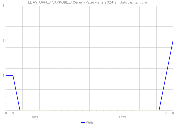 ELIAS JUANES CARROBLES (Spain) Page visits 2024 