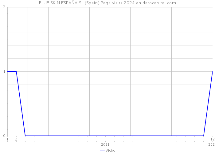 BLUE SKIN ESPAÑA SL (Spain) Page visits 2024 