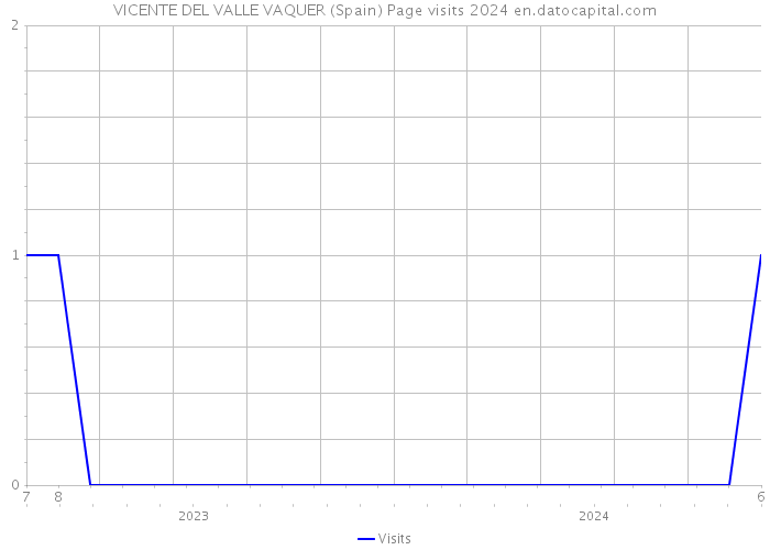 VICENTE DEL VALLE VAQUER (Spain) Page visits 2024 