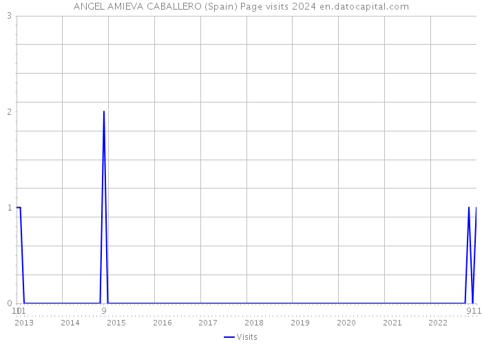 ANGEL AMIEVA CABALLERO (Spain) Page visits 2024 