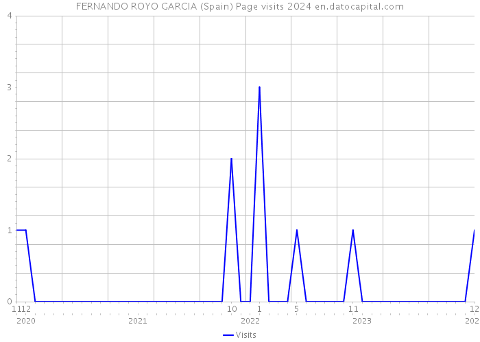 FERNANDO ROYO GARCIA (Spain) Page visits 2024 
