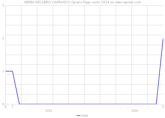 NEREA RECUERO CARRASCO (Spain) Page visits 2024 