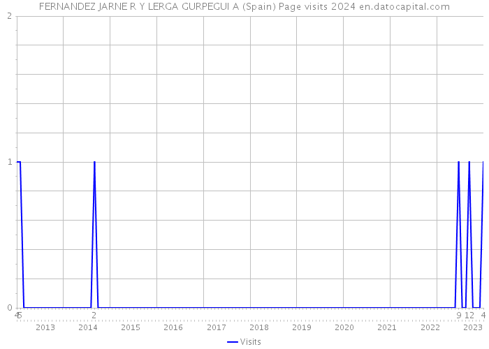 FERNANDEZ JARNE R Y LERGA GURPEGUI A (Spain) Page visits 2024 