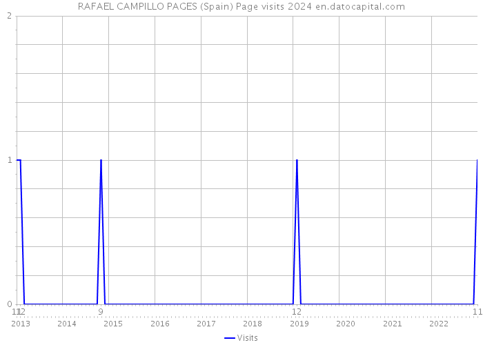 RAFAEL CAMPILLO PAGES (Spain) Page visits 2024 