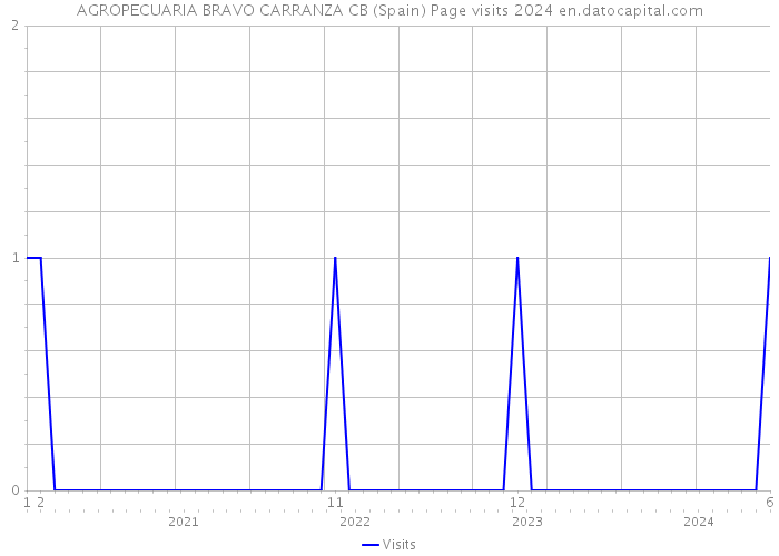 AGROPECUARIA BRAVO CARRANZA CB (Spain) Page visits 2024 