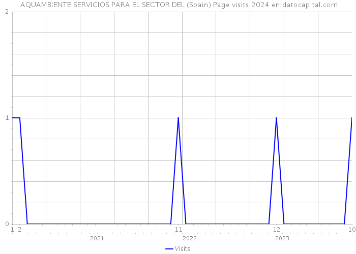  AQUAMBIENTE SERVICIOS PARA EL SECTOR DEL (Spain) Page visits 2024 