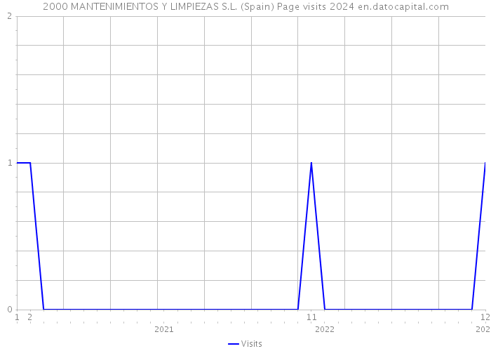 2000 MANTENIMIENTOS Y LIMPIEZAS S.L. (Spain) Page visits 2024 