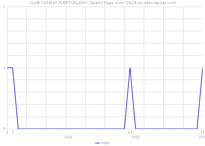 CLUB CANINO PUERTOLLANO (Spain) Page visits 2024 