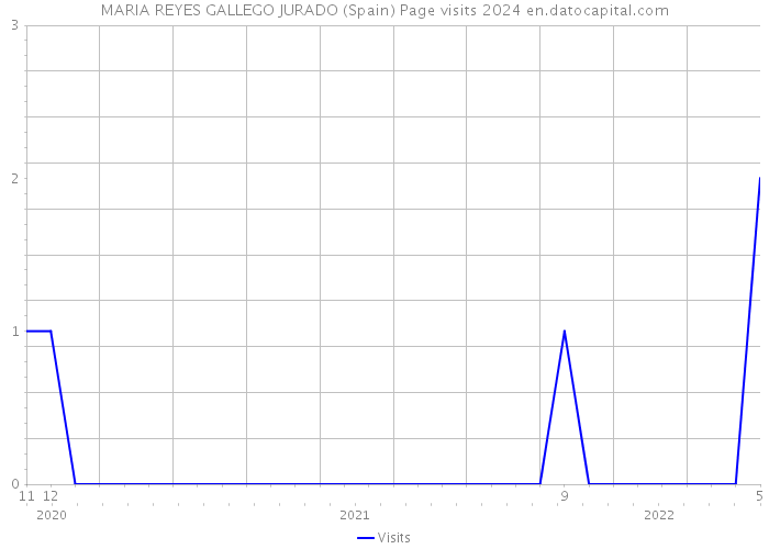 MARIA REYES GALLEGO JURADO (Spain) Page visits 2024 