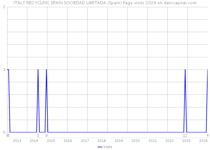 ITALY RECYCLING SPAIN SOCIEDAD LIMITADA (Spain) Page visits 2024 
