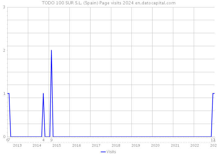 TODO 100 SUR S.L. (Spain) Page visits 2024 