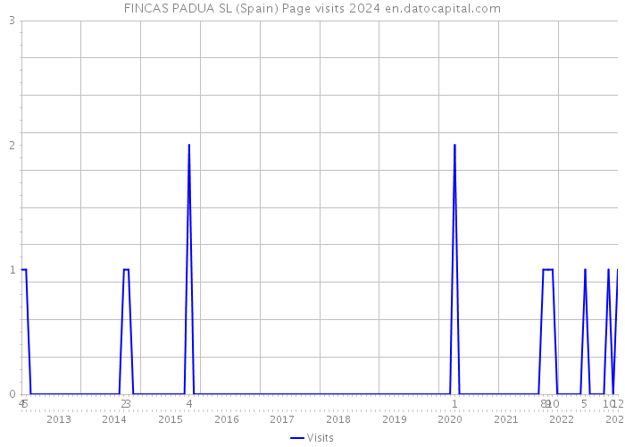 FINCAS PADUA SL (Spain) Page visits 2024 