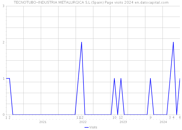 TECNOTUBO-INDUSTRIA METALURGICA S.L (Spain) Page visits 2024 