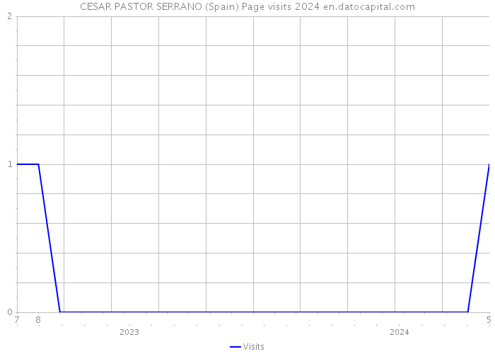 CESAR PASTOR SERRANO (Spain) Page visits 2024 