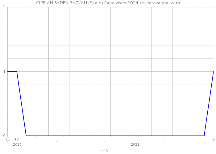 CIPRIAN BADEA RAZVAN (Spain) Page visits 2024 