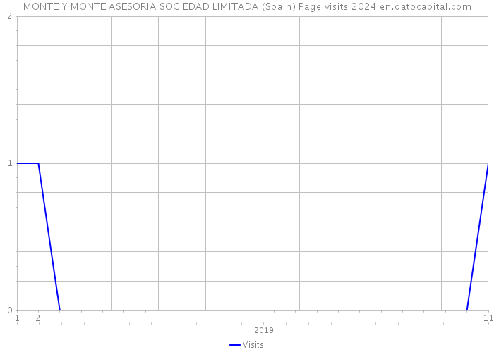 MONTE Y MONTE ASESORIA SOCIEDAD LIMITADA (Spain) Page visits 2024 