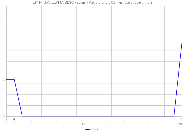 FERNANDO LERMA BESO (Spain) Page visits 2024 