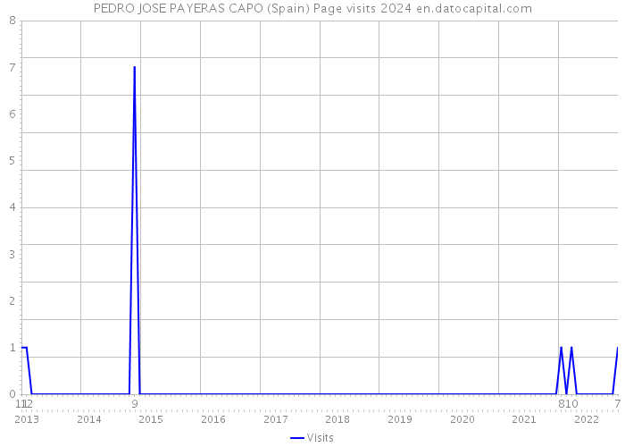 PEDRO JOSE PAYERAS CAPO (Spain) Page visits 2024 
