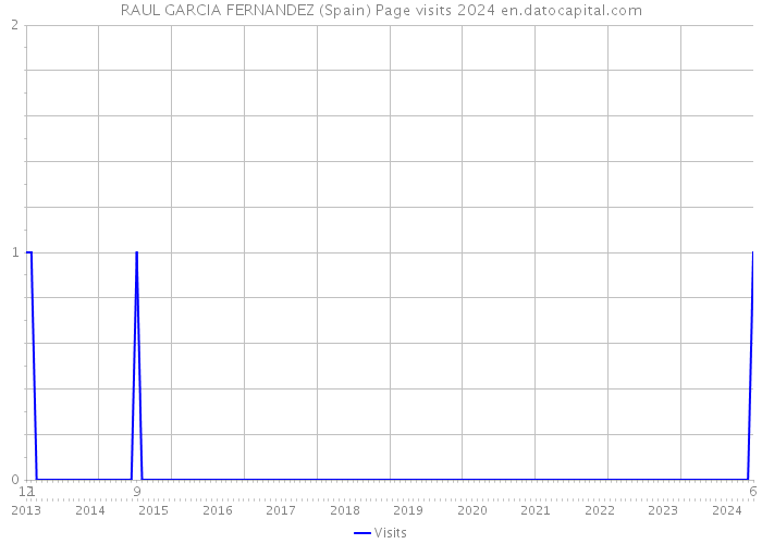 RAUL GARCIA FERNANDEZ (Spain) Page visits 2024 