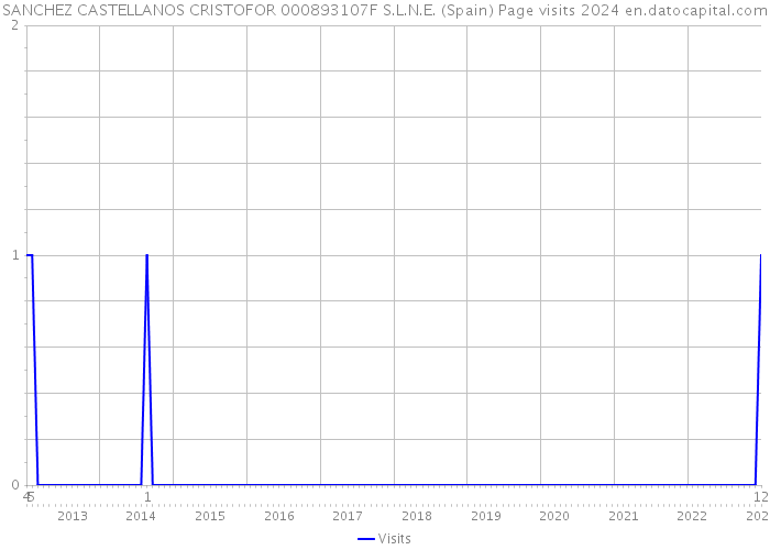 SANCHEZ CASTELLANOS CRISTOFOR 000893107F S.L.N.E. (Spain) Page visits 2024 