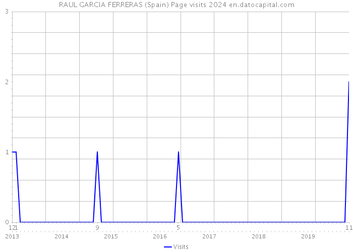 RAUL GARCIA FERRERAS (Spain) Page visits 2024 