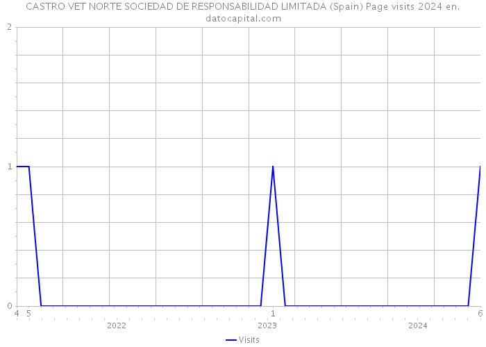 CASTRO VET NORTE SOCIEDAD DE RESPONSABILIDAD LIMITADA (Spain) Page visits 2024 