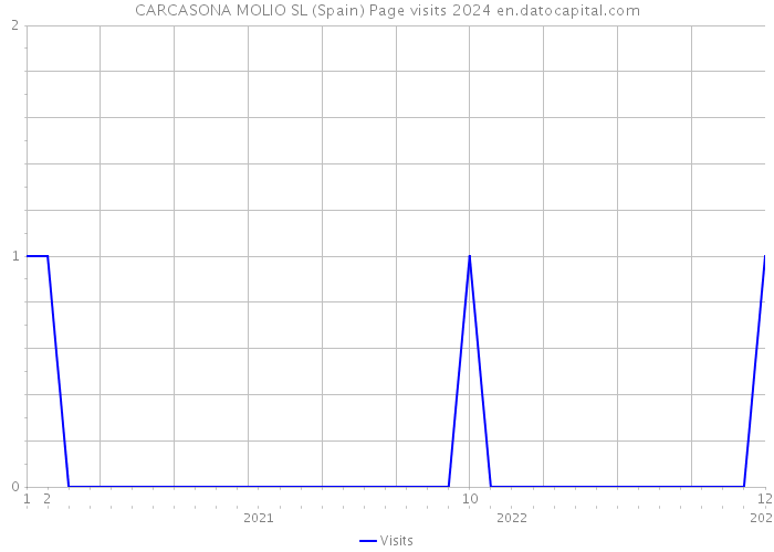 CARCASONA MOLIO SL (Spain) Page visits 2024 