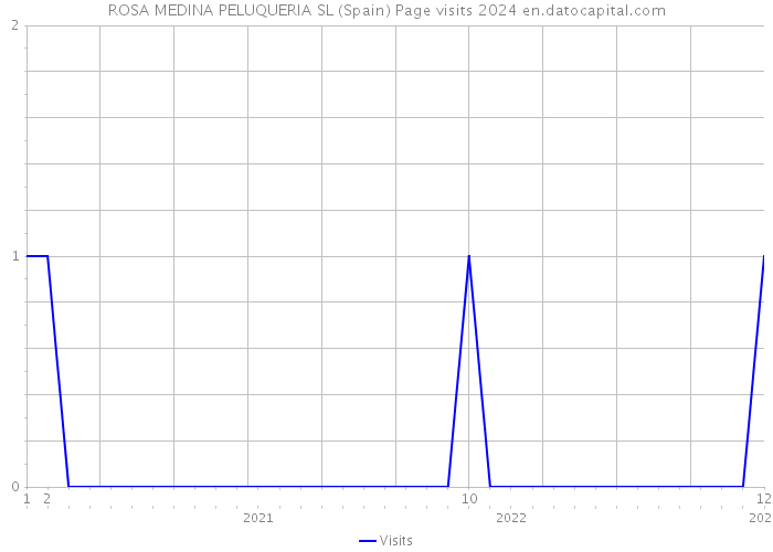 ROSA MEDINA PELUQUERIA SL (Spain) Page visits 2024 