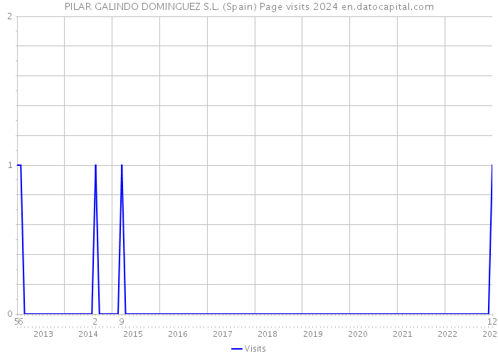 PILAR GALINDO DOMINGUEZ S.L. (Spain) Page visits 2024 