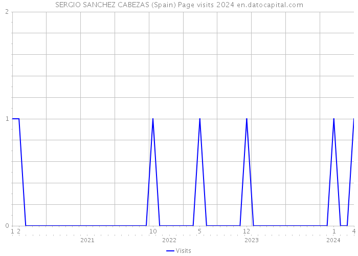 SERGIO SANCHEZ CABEZAS (Spain) Page visits 2024 