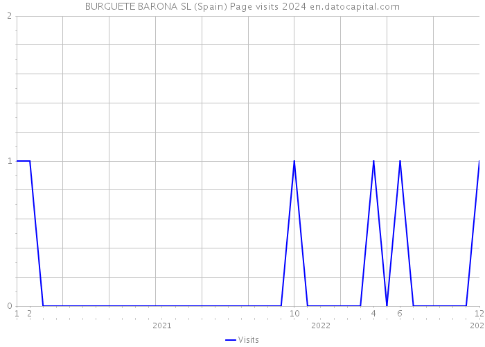 BURGUETE BARONA SL (Spain) Page visits 2024 