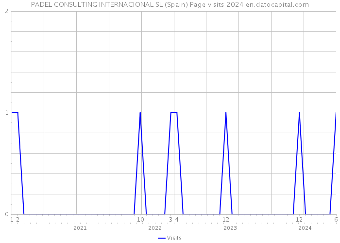 PADEL CONSULTING INTERNACIONAL SL (Spain) Page visits 2024 