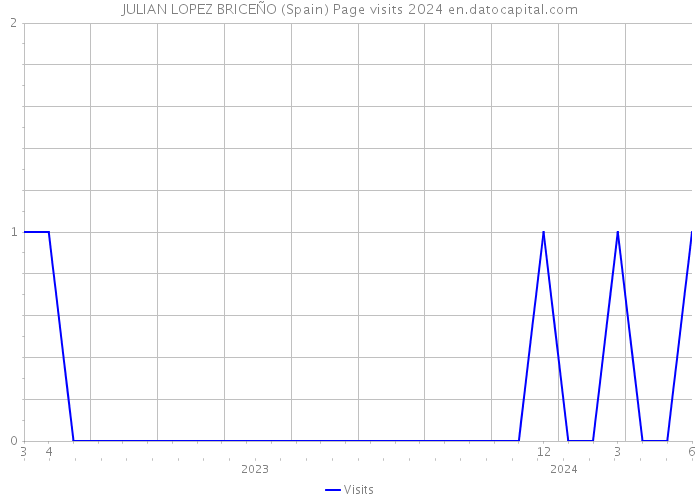 JULIAN LOPEZ BRICEÑO (Spain) Page visits 2024 