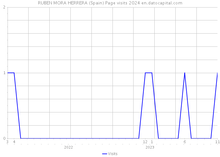 RUBEN MORA HERRERA (Spain) Page visits 2024 