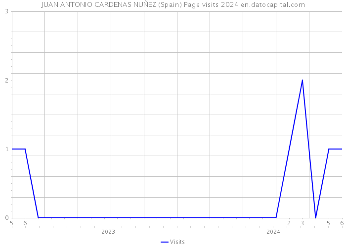 JUAN ANTONIO CARDENAS NUÑEZ (Spain) Page visits 2024 