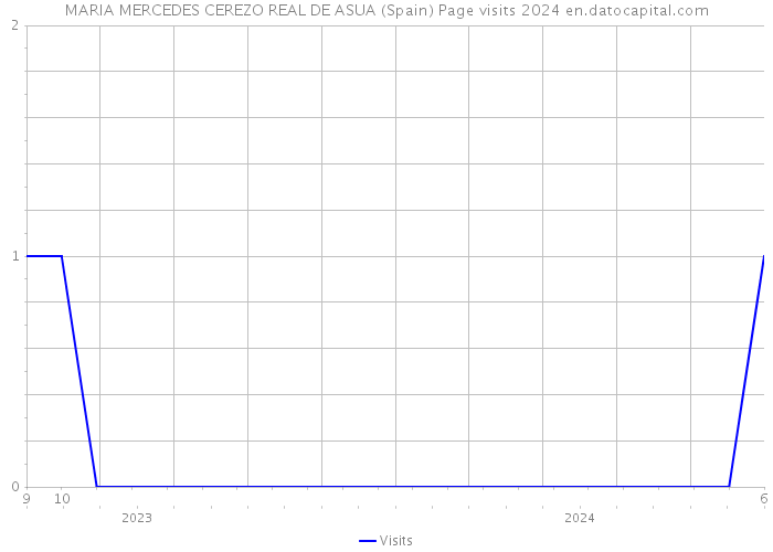 MARIA MERCEDES CEREZO REAL DE ASUA (Spain) Page visits 2024 