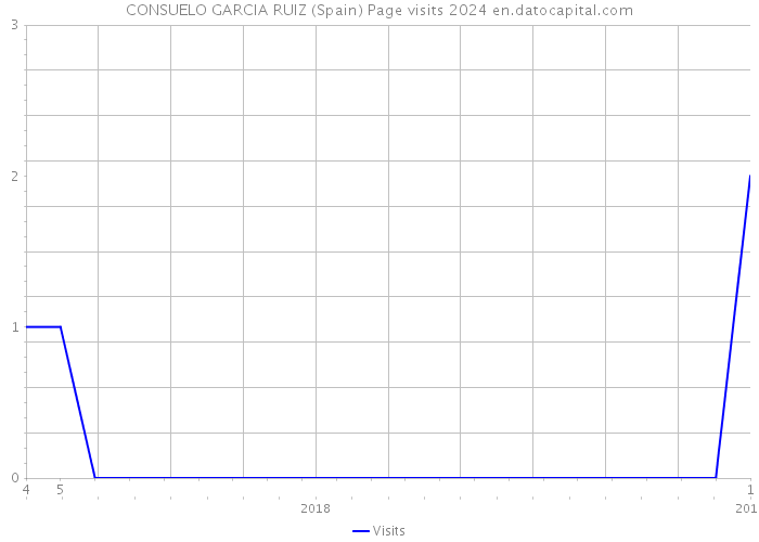 CONSUELO GARCIA RUIZ (Spain) Page visits 2024 