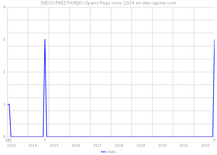 DIEGO PAEZ PAREJO (Spain) Page visits 2024 