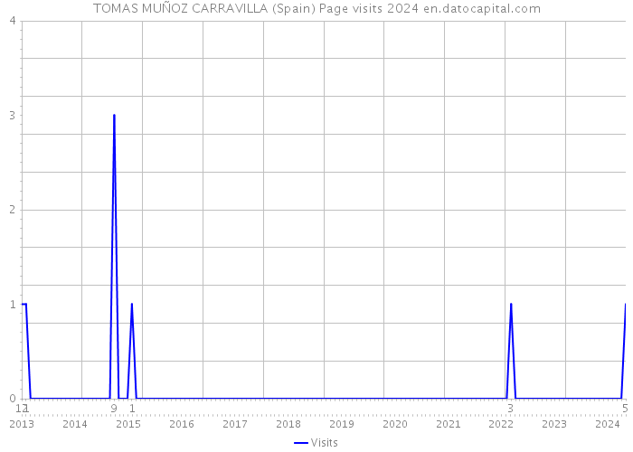 TOMAS MUÑOZ CARRAVILLA (Spain) Page visits 2024 