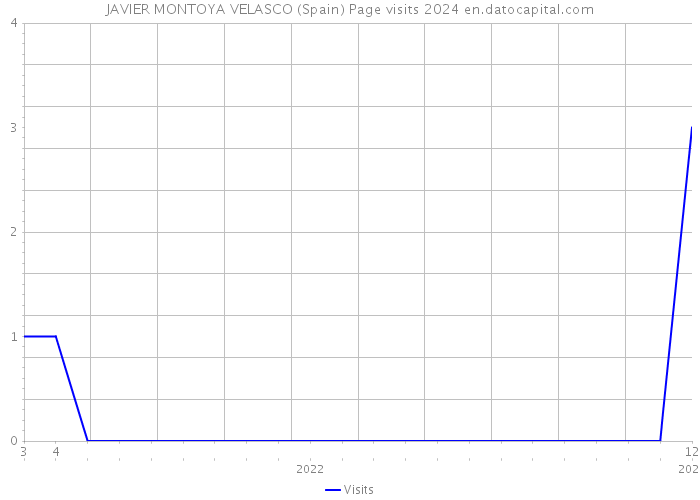 JAVIER MONTOYA VELASCO (Spain) Page visits 2024 