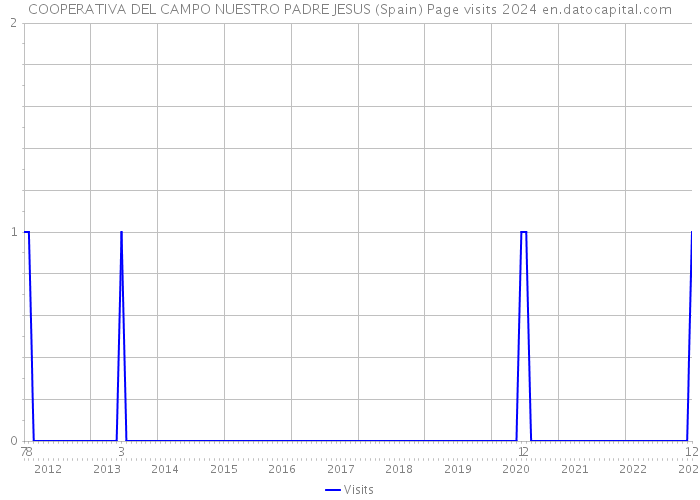 COOPERATIVA DEL CAMPO NUESTRO PADRE JESUS (Spain) Page visits 2024 