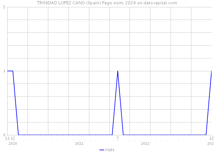 TRINIDAD LOPEZ CANO (Spain) Page visits 2024 