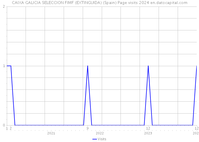 CAIXA GALICIA SELECCION FIMF (EXTINGUIDA) (Spain) Page visits 2024 