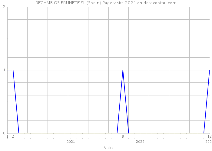 RECAMBIOS BRUNETE SL (Spain) Page visits 2024 